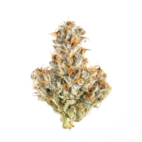 White Truffle Ultra Private