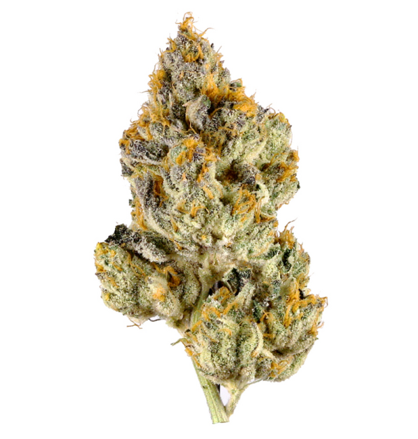 ScreenShot2025-04-29at2.57.37PM Lemon Cherry Gelato Fuego Vape