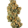 LA Poprocks Fuego Vape