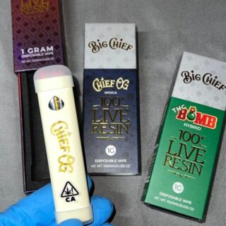 Big Chief Disposable Pen