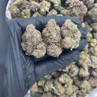 BLUE COOKIES GELATO