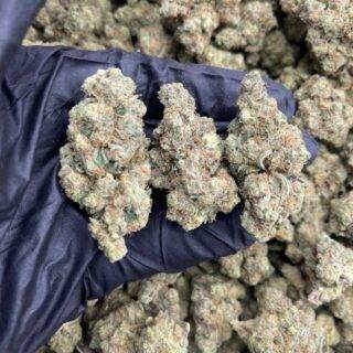 Platinum Cake