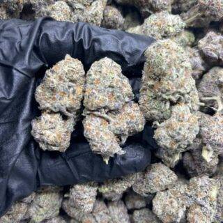 OG KUSH Strain