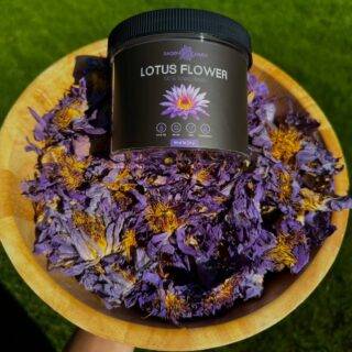 Blue Lotus Flower